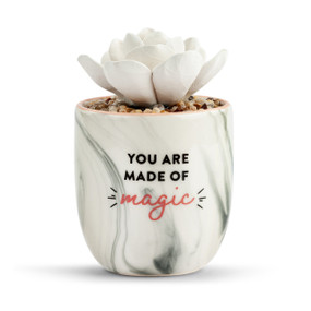 Succulent Oil Diffuser - Made of Magic
