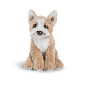 A tan and white plush sitting French Bulldog beanbag.