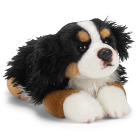 A plush black, brown and white Bernese Mountain dog laying down.