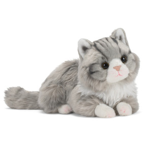 A gray and white plush Coon Cat laying down.