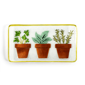 A rectangular glass plate with three different succulents in brown pots. The plate has a light green rim.