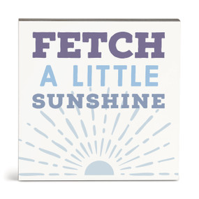 A square white wall art with the saying "Fetch a little sunshine".