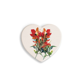 A set of four heart shaped white ceramic coasters with a watercolor image of an indian paintbrush.