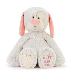 A cream plush dog with pink ears and nose and a paw that says "Best Big Sis".