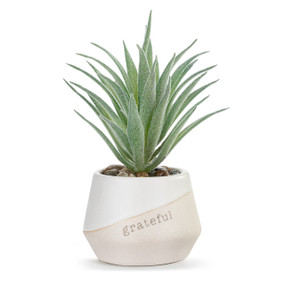 A small green artificial succulent in a cream ceramic planter that says "grateful".