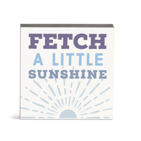A small square white wall art with the saying "Fetch a little sunshine".