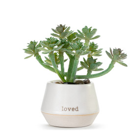 A small green artificial succulent in a cream ceramic planter that says "loved".