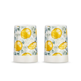 A set of two white ceramic salt and pepper shakers with a cream textured base. There is an image of lemons on them.
