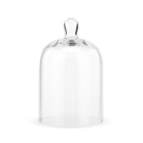 A round glass cloche with a small handle at the top.
