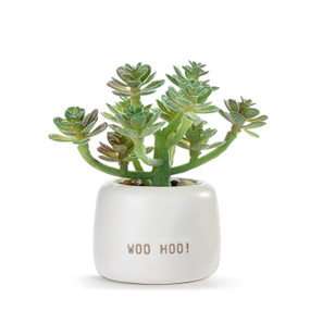 A small green artificial succulent in a cream ceramic planter that says "Woo Hoo!".