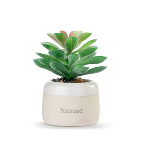 A small green artificial succulent in a cream ceramic planter that says "blessed".