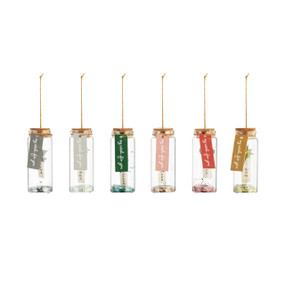 A set of six small glass bottle ornaments each with a different colored tag that says "my wish for you". Each bottle has a different wish inside.