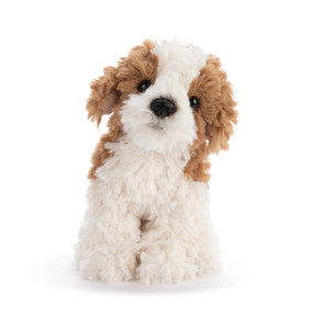 A small plush brown and white Maltipoo.