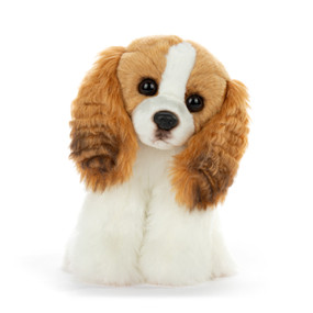 A small brown and white plush cavalier king charles dog.