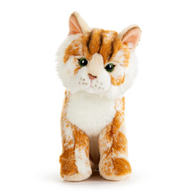 An orange and white plush small Maine coon cat sitting down.