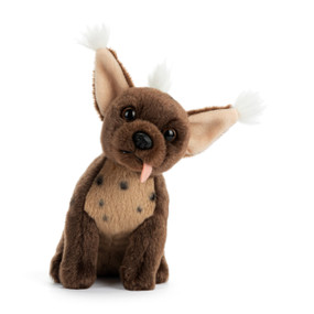 A brown plush Chihuahua mix with a light brown belly and ears sitting down.