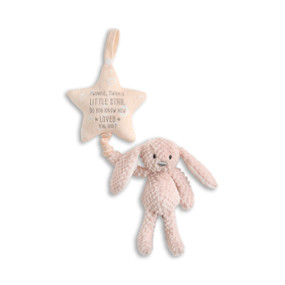 A light pink plush bunny hanging from a light pink plush star that says "Twinkle, Twinkle Little Star, Do You Know How Loved You Are?" in gray.