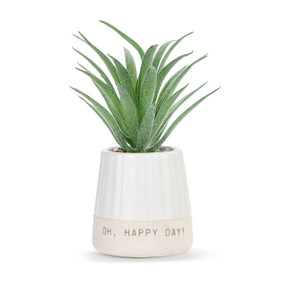 A small green artificial succulent in a cream ceramic planter that says "Oh, Happy Day".