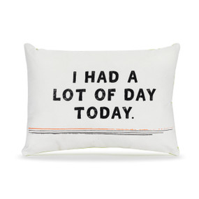 A small white accent pillow with the saying "I had a lot of day today".