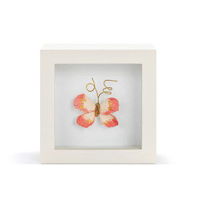 A coral butterfly with gold wire tentacles in a white shadow box.