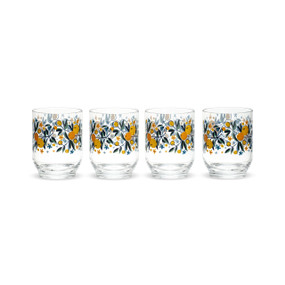 A set of four clear acrylic glasses with citrus illustrations around the outside.