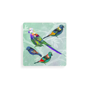 A set of four square coasters with colorful parrots on a light green background.