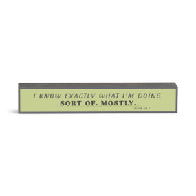 A green rectangular wall art with the saying "I Know Exactly What I'm Doing. Sort Of. Mostly."