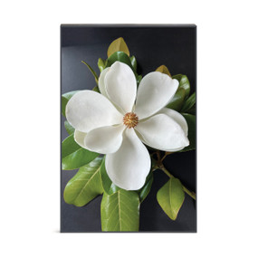 A wall art with a photograph of a white magnolia flower and green leaves.