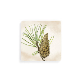 A set of four square coasters with a green pine and pinecone illustration.