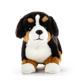A black, brown and white plush large Bernese Mountain dog.