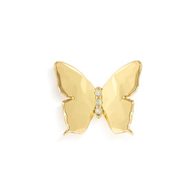 Top down view of a gold butterfly magnet