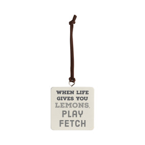 Play Fetch Ornament - Bone