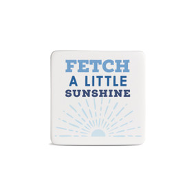 Fetch Sunshine Magnet - Bone