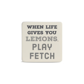 Play Fetch Magnet - Bone