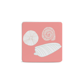 Seashells Magnet - Bone
