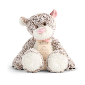 Front view of a brown and white plush teddy bear with pink ears and a pink nose. A story tag is attached to a pink ribbon around the bear's neck.