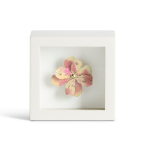 gentle spirit pink flower shadow box - 4in