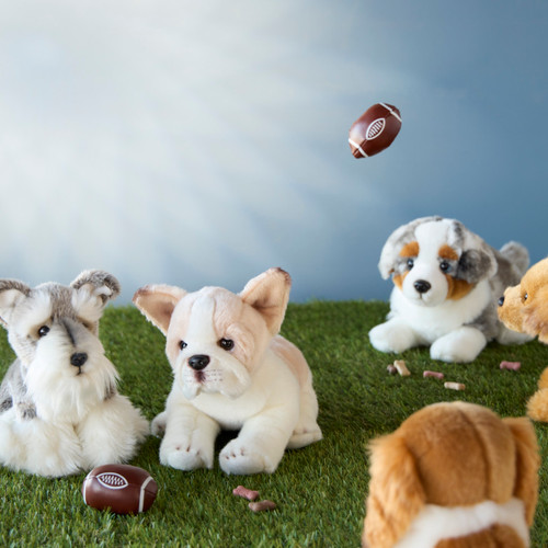 French Bulldog Small slide 