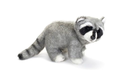 Raccoon Large slide 