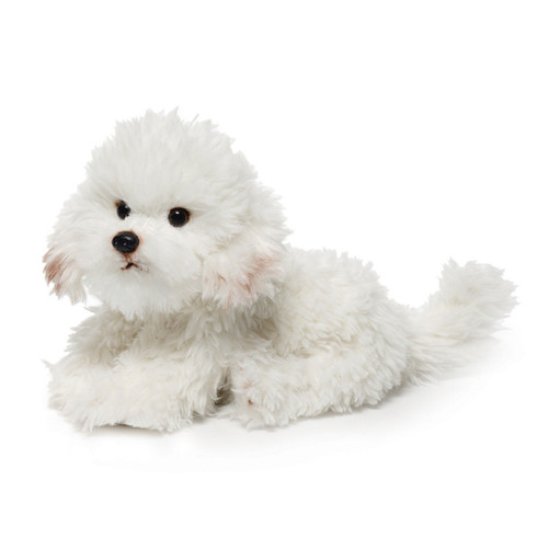 Bichon Frise Large slide 