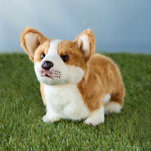 Corgi Small slide 