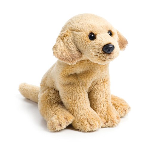 Yellow Labrador Beanbag slide 