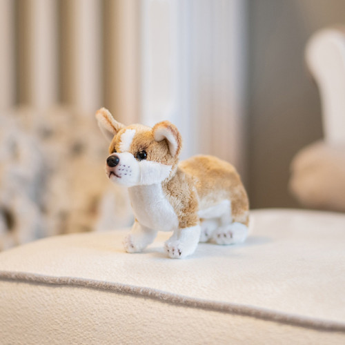 Corgi Beanbag slide 