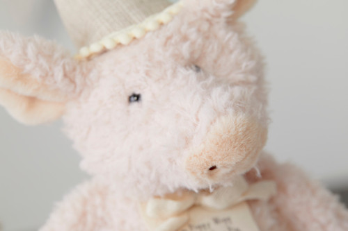 Piggy Wigg the Birthday Pig Plush Toy slide 