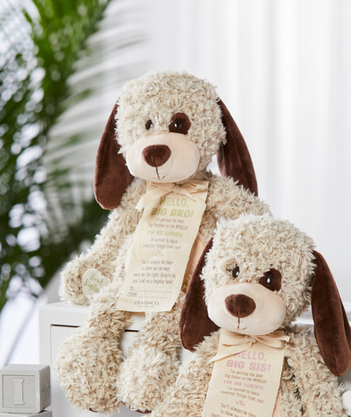 Gift from the New Kid: Big Brother Plush Puppy slide 