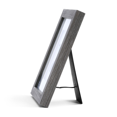 Sharon Nowlan Collection Whiskers on Kittens Wall Art 8" x 10" slide 