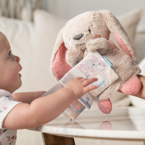 Pat-A-Cake Puppet Book slide 