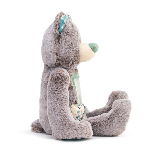 Here To Hug Collection Grandma Teddy Bear Stuffed Animal 16" slide 