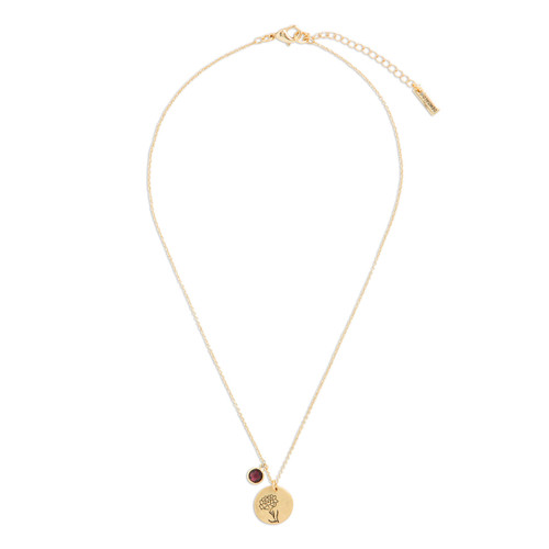 Birthstone Charm Necklace - January slide 