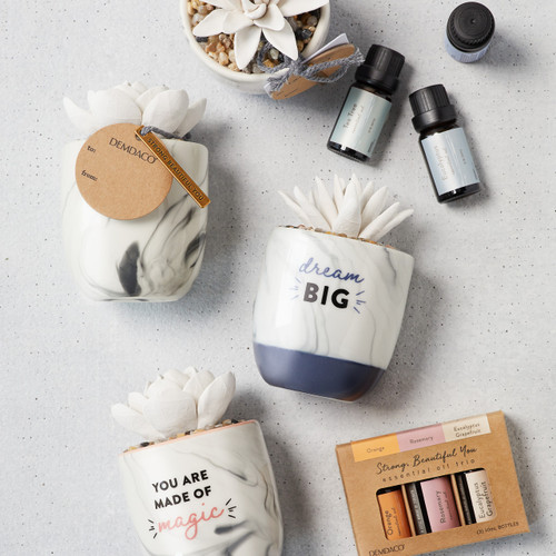 Succulent Oil Diffuser - Dream Big slide 